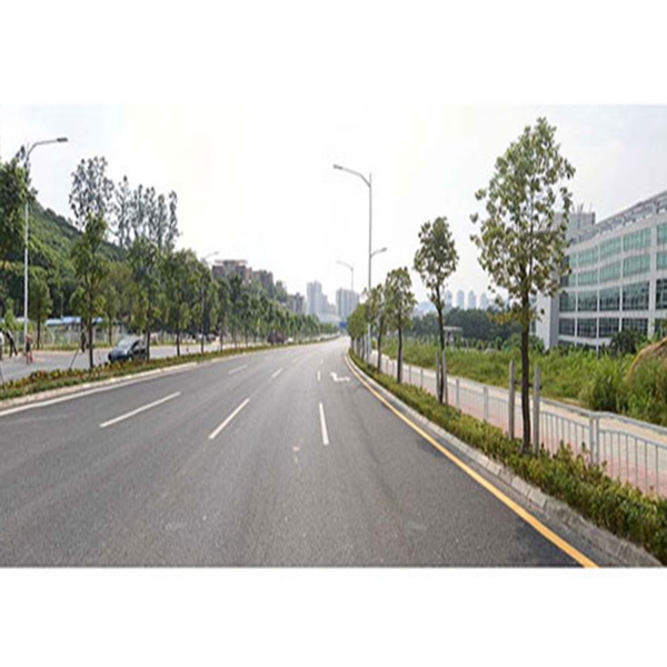 坂澜大道道路工程、电力线路改迁工程